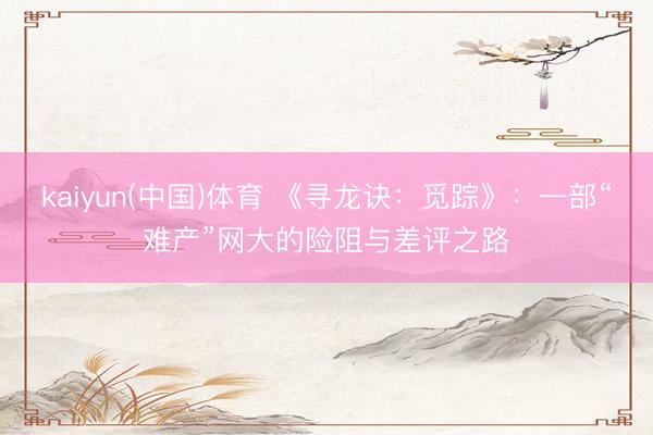 kaiyun(中国)体育 《寻龙诀：觅踪》：一部“难产”网大的险阻与差评之路