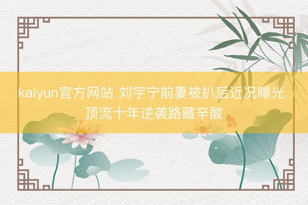 kaiyun官方网站 刘宇宁前妻被扒后近况曝光 顶流十年逆袭路藏辛酸