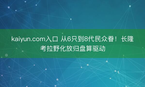 kaiyun.com入口 从6只到8代民众眷！长隆考拉野化放归盘算驱动